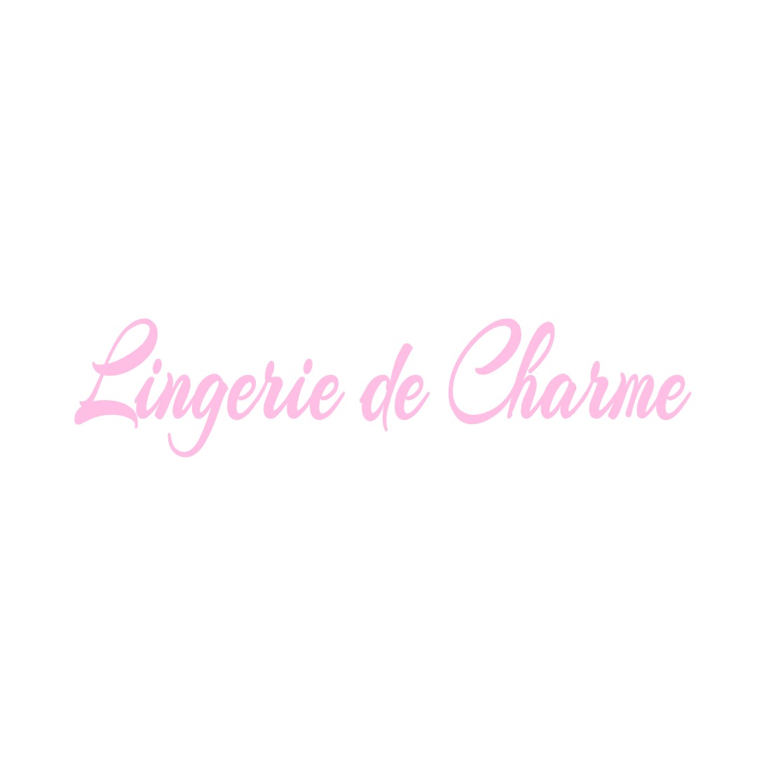 LINGERIE DE CHARME VIC-SUR-CERE